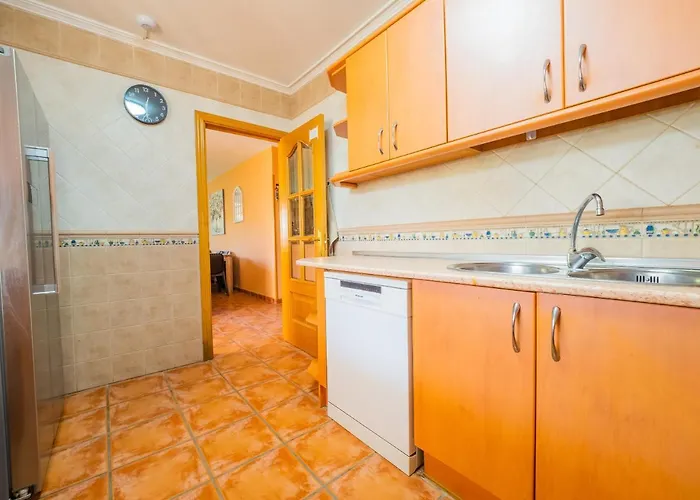 Cubo's Sporting Paloma *