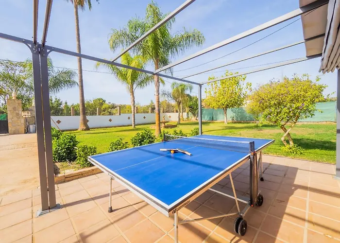 Cubo's Sporting Paloma