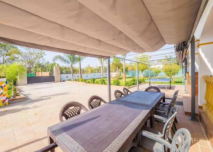 Cubo's Sporting Paloma * Alhaurin el Grande