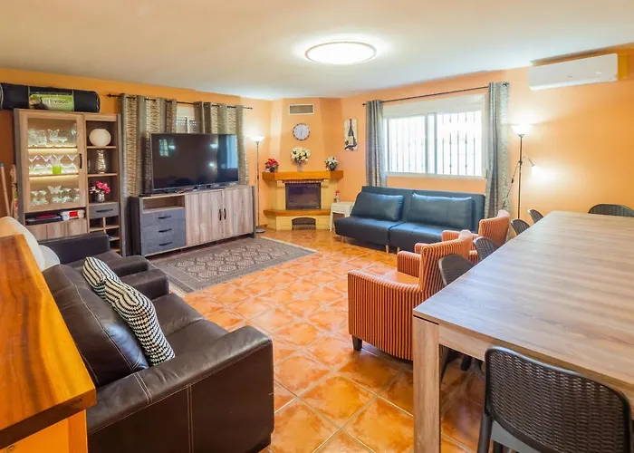 Cubo's Sporting Paloma *