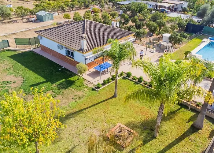Villa Cubo's Sporting Paloma *