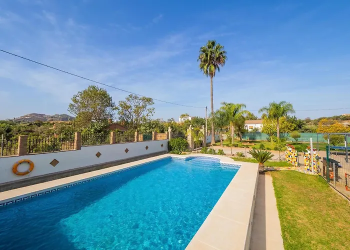 Cubo's Sporting Paloma