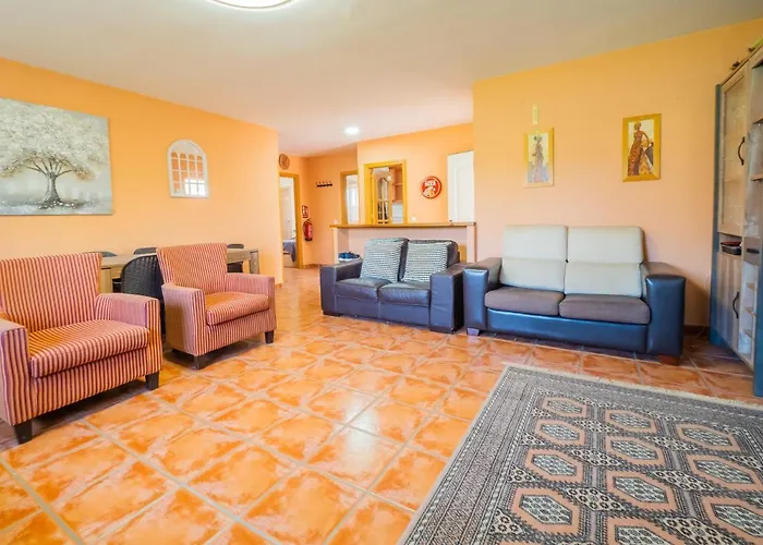 Cubo's Sporting Paloma *